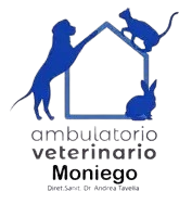 Ambulatorio Veterinario Tavella